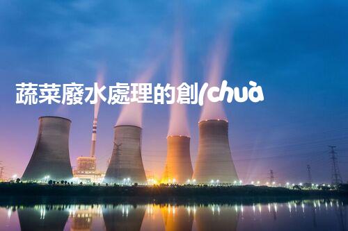 蔬菜廢水處理的創(chuàng)新之路？揭秘綠色科技的以后！